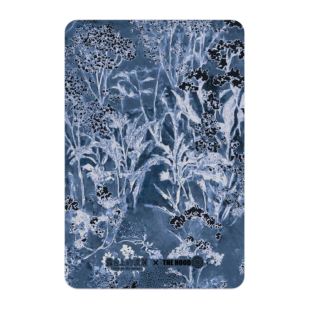6078-ps501-ccc-pb-silver-2