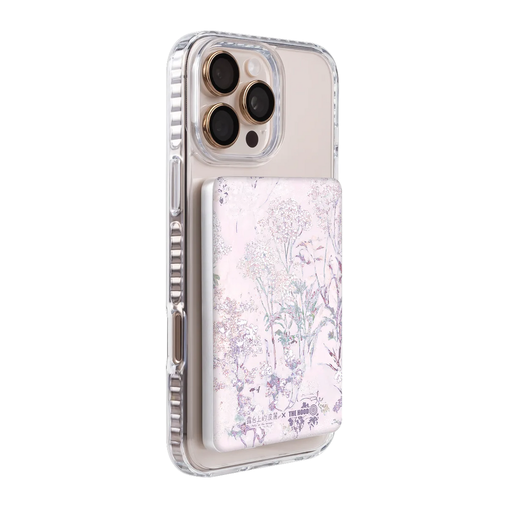 6079-ps501-ccc-pb-silver