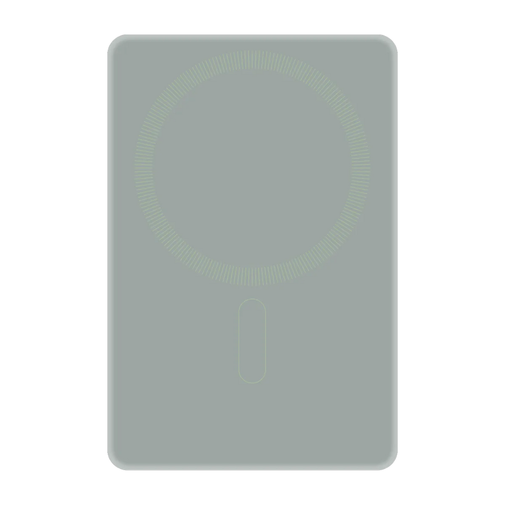 6080-ps501-ccc-pb-silver-3