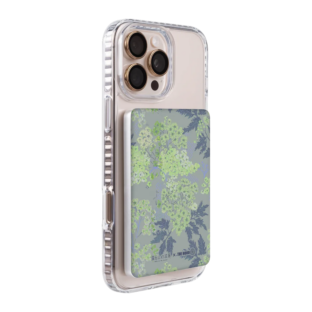 6080-ps501-ccc-pb-silver