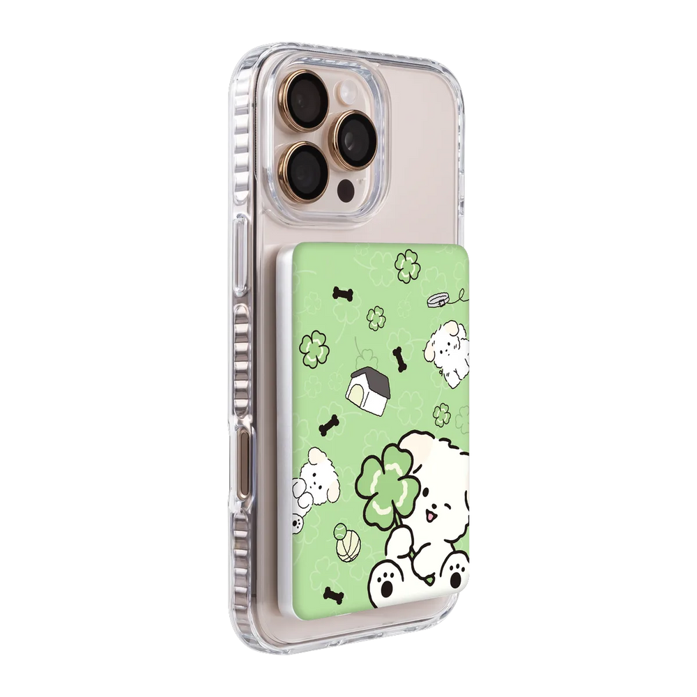 6123-ps501-ccc-pb-silver