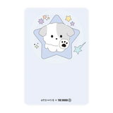 6124-ps501-ccc-pb-silver-3