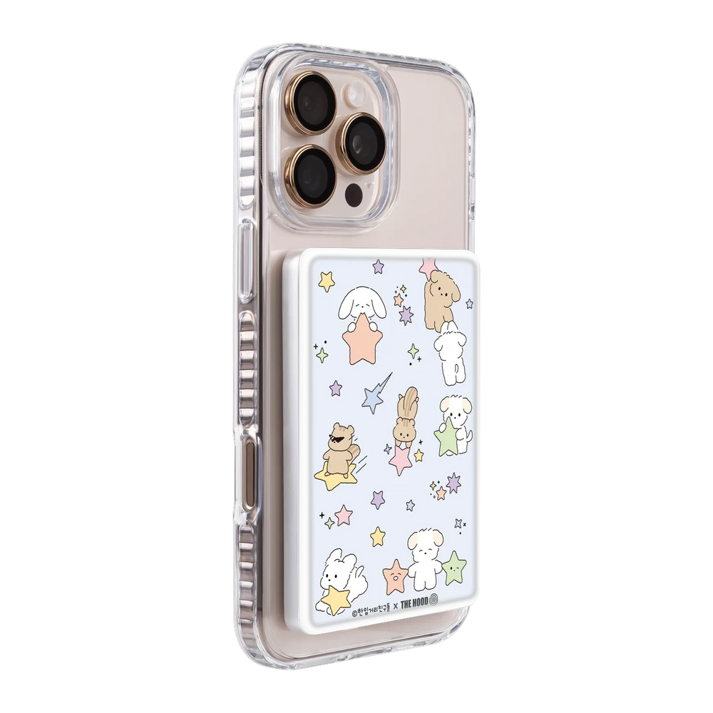 6124-ps501-ccc-pb-silver