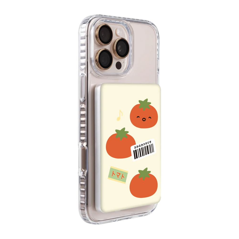 6133-ps501-ccc-pb-silver