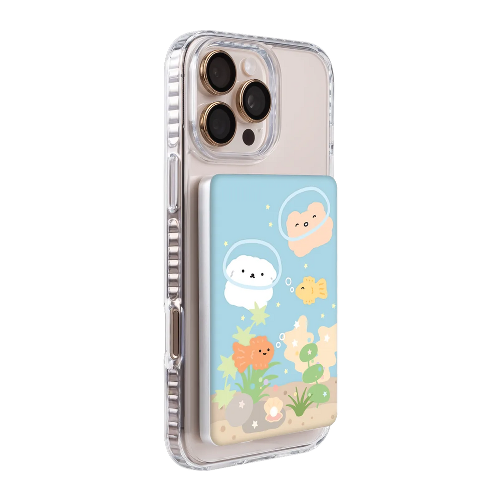 6134-ps501-ccc-pb-silver