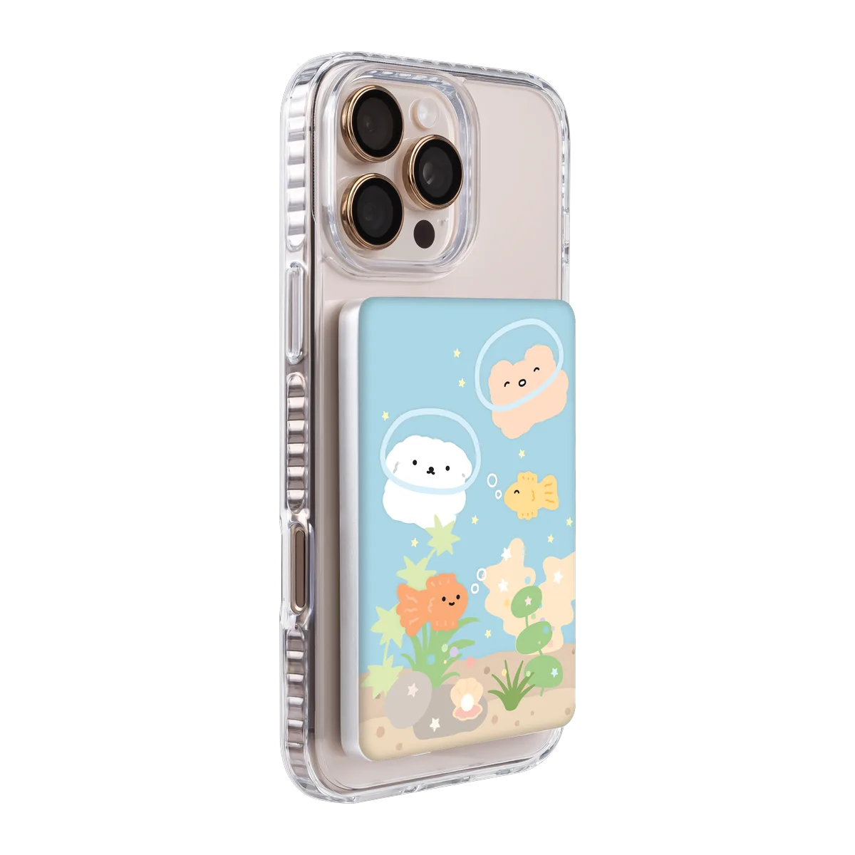 6134-ps501-ccc-pb-silver