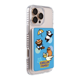 6136-ps501-ccc-pb-silver