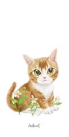 6172 Ginger Kitten