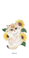 6173 Golden Shorthair