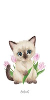 6174 Siamese