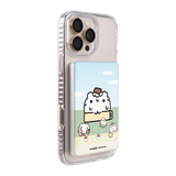 6242-ps501-ccc-pb-silver