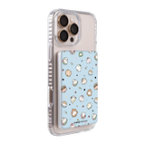 6243-ps501-ccc-pb-silver