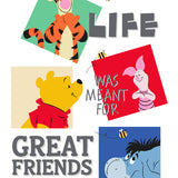 6255 Winnie the Pooh Family