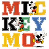 6266 Mickey Mouse