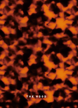 6273 Amber Tortoiseshell