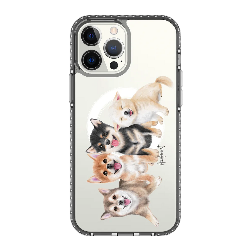 6346-iphone-13-pro-max-golden-case-magsafe-compatible-transparent-black