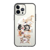 6346-iphone-13-pro-max-golden-case-magsafe-compatible-transparent-black