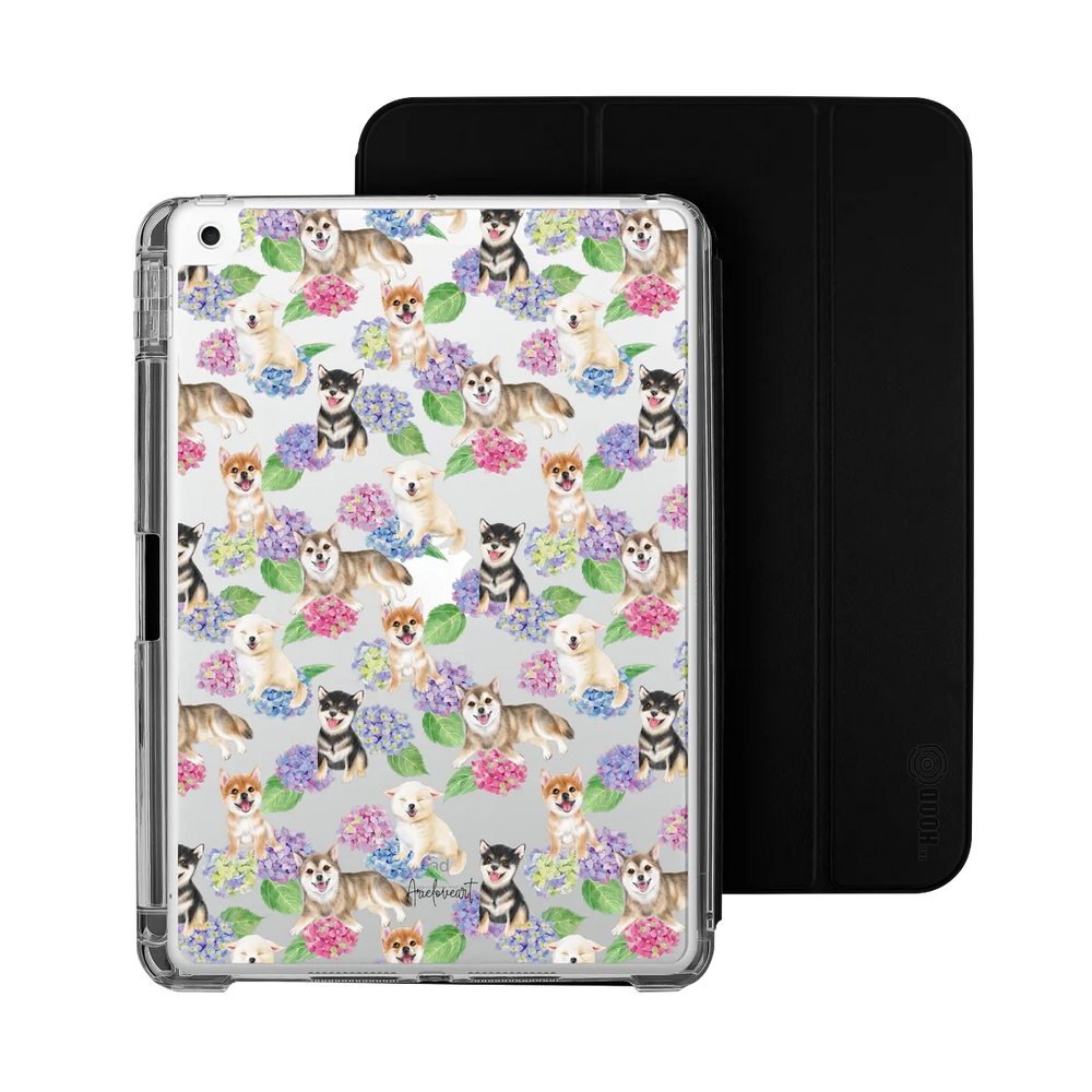 6347-ipad-10-2-inch-ipad-detachable-clear-case-black