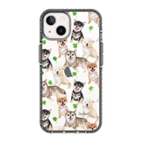 6348-iphone-13-golden-case-magsafe-compatible-transparent-black