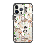 6348-iphone-13-pro-golden-case-magsafe-compatible-transparent-black