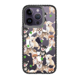 6348-iphone-14-pro-golden-case-magsafe-compatible-transparent-black
