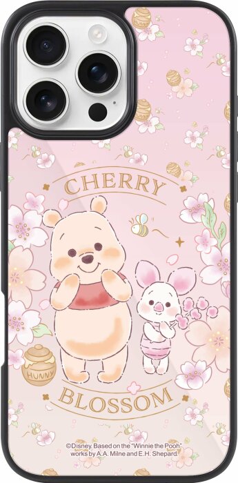 mirror_case.jpg