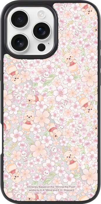 mirror_case.jpg