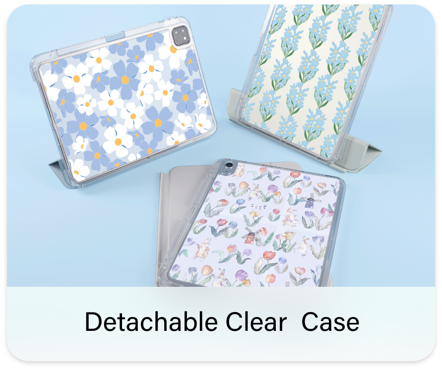 Detachable Clear Case